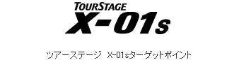 ツアーステージ X-01sターゲットポイント